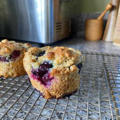 Blueberry Muffins